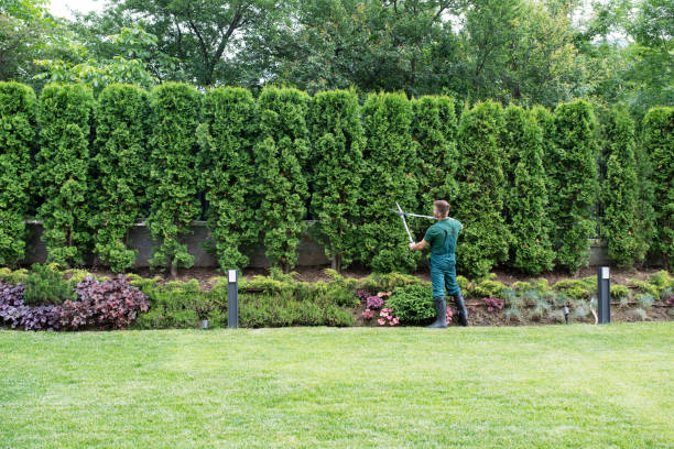 Best Lawn Maintenance Plans  in Congers, NY